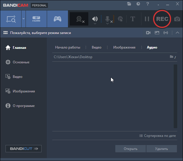 Bandicam скриншот 3